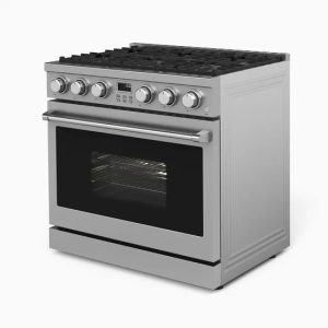 Hyxion Manufacturer Freestanding Gas Stove