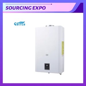 Constant Temperature Hot Sale Flue Type Wall Mounted Instant Water Heater