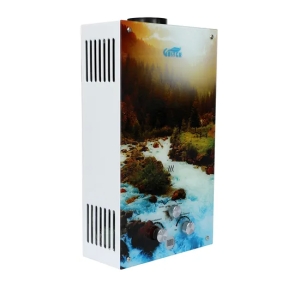 Компактный и доступный мгновенный газовый водонагреватель для домашних хозяйств