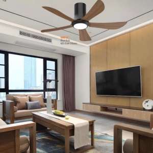 Household Ceiling Fan Electric Light Wall Light 52 Inch ABS Blade Energy Saving High Quality Fancy AC65-265V CCT LED Lam