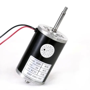 Electrical AC Table PMDC Motor for Massager/Hair Dryer/Vaccum Cleaner Motor