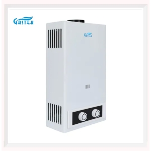 16L fixé au mur GPL sans réservoir chauffe-eau à gaz instantané pour la douche
