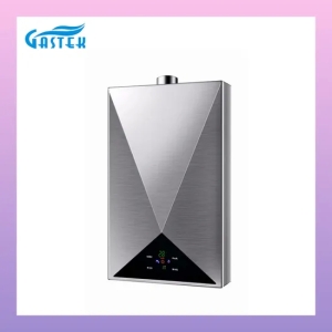 Calentador de agua del gas del LPG de la pantalla táctil económica de energía de 10L 12L 13L
