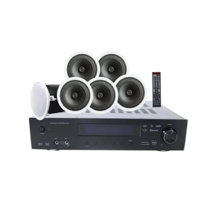 5,1 système de Home Theater avec l'amplificateur, haut-parleur de plafond de 6 pouces et Subwoofer de plafond de 10 pouc