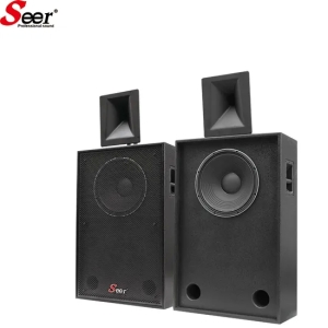 Altavoz de 2 vías Solo 15 pulgadas Altavoz profesional Cine Audio Altavoz del hogar