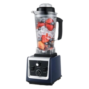 Ranbem Professional Home Appliances High Speed Kitchen Smoothie Milkshake Blenders and Juicers with Timer