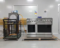 Hyxion Stainless Steel 6 Burner and Griddle Gas Stove