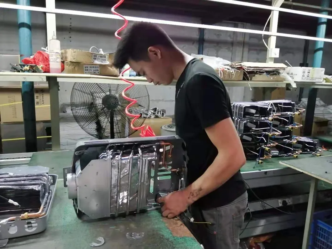 Home Appliance on Demand Flue Type Gas Water Heaters Shower Calentador