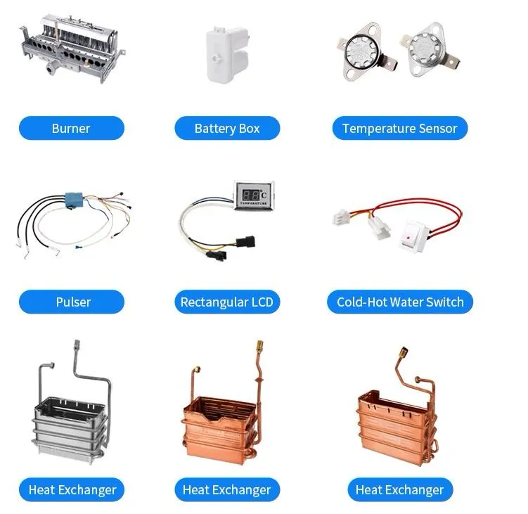 Home Appliance on Demand Flue Type Gas Water Heaters Shower Calentador