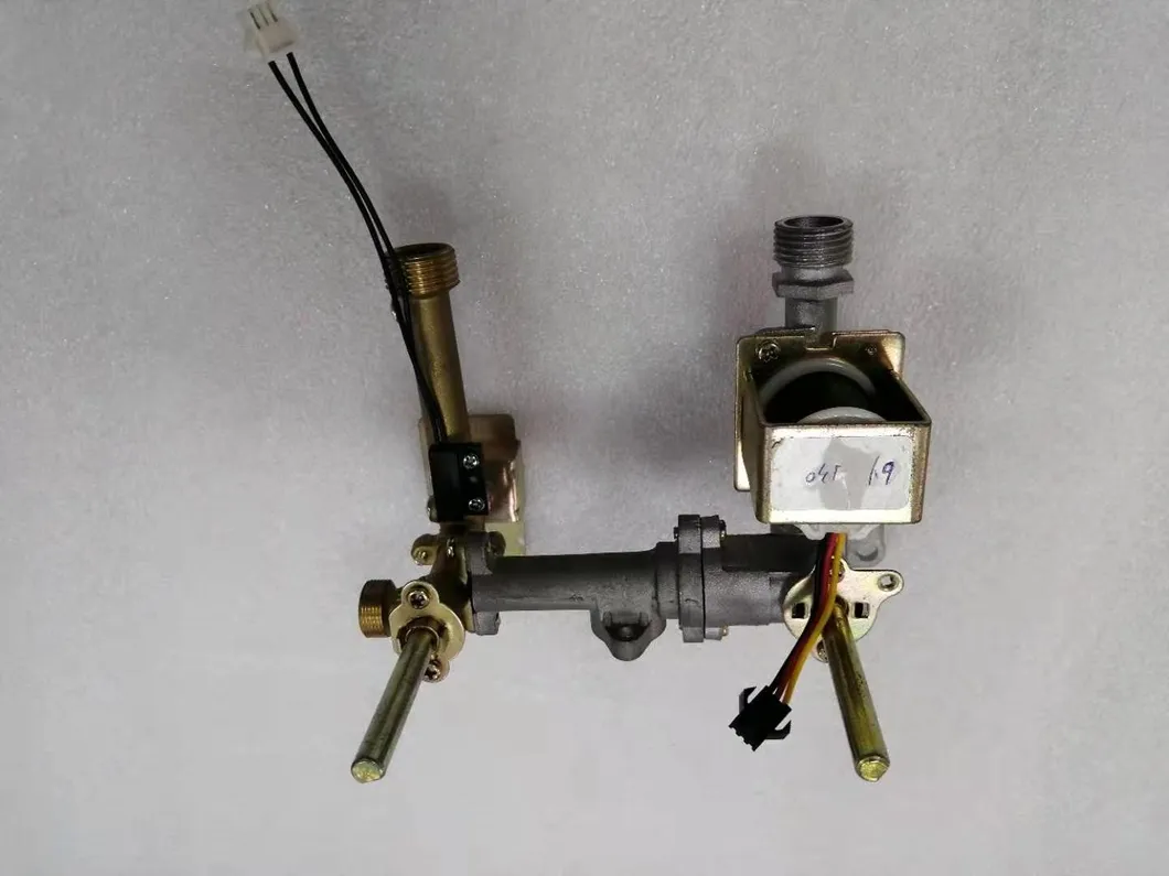 Home Appliance on Demand Flue Type Gas Water Heaters Shower Calentador