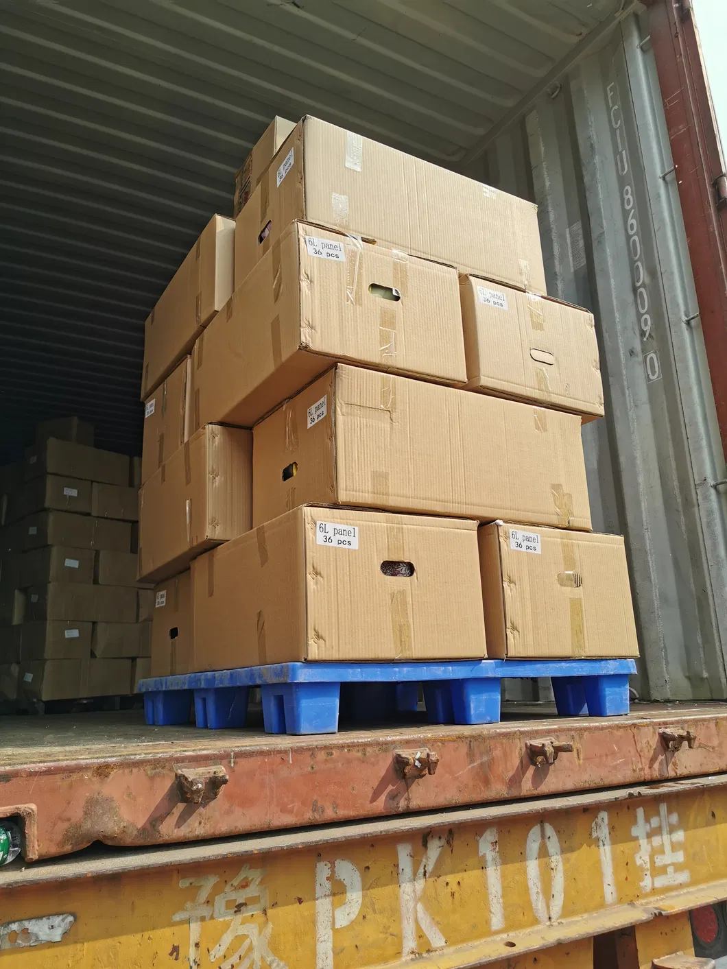 Home Appliance on Demand Flue Type Gas Water Heaters Shower Calentador