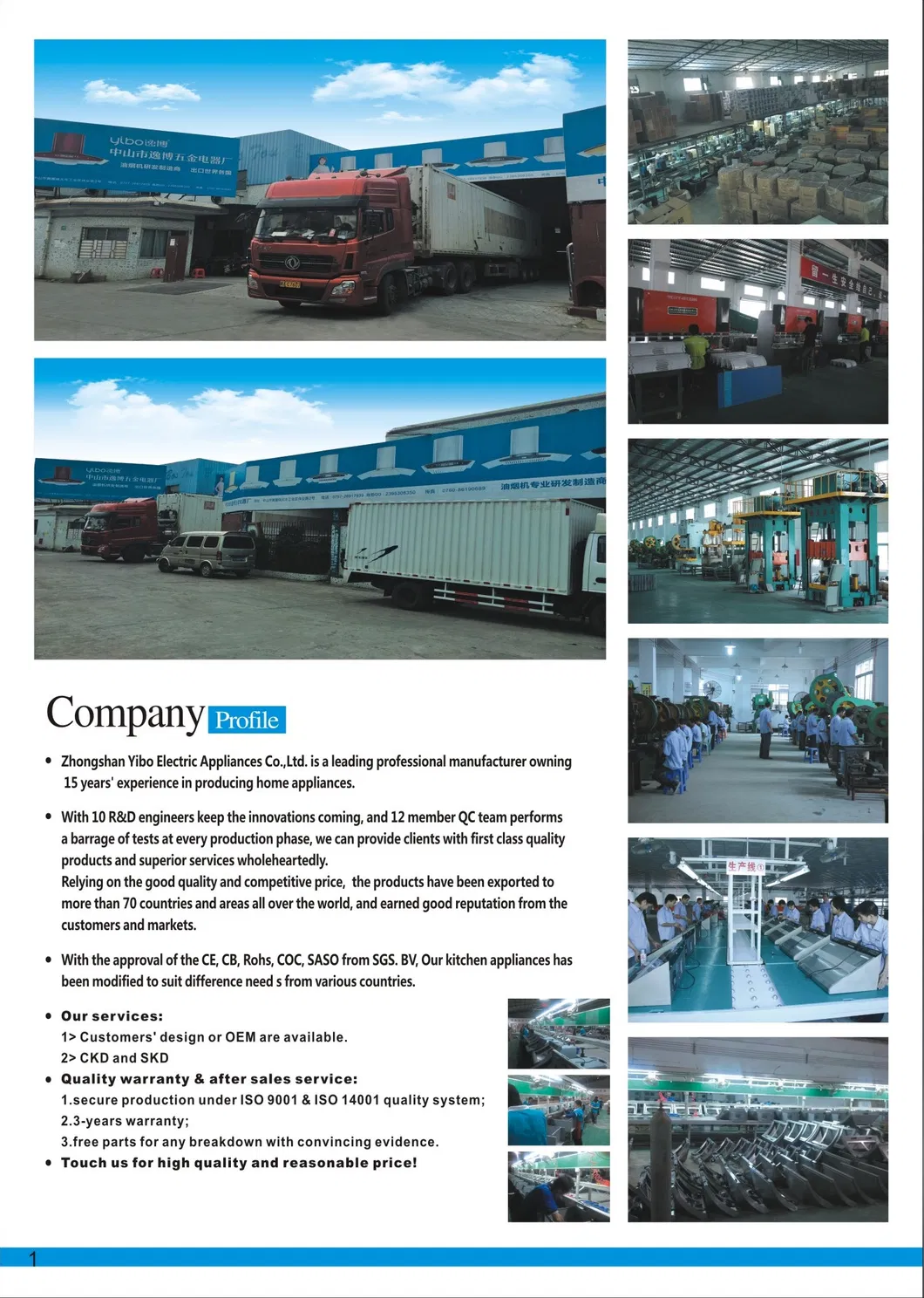 Home Appliance on Demand Flue Type Gas Water Heaters Shower Calentador