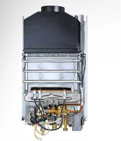 Home Appliance on Demand Flue Type Gas Water Heaters Shower Calentador