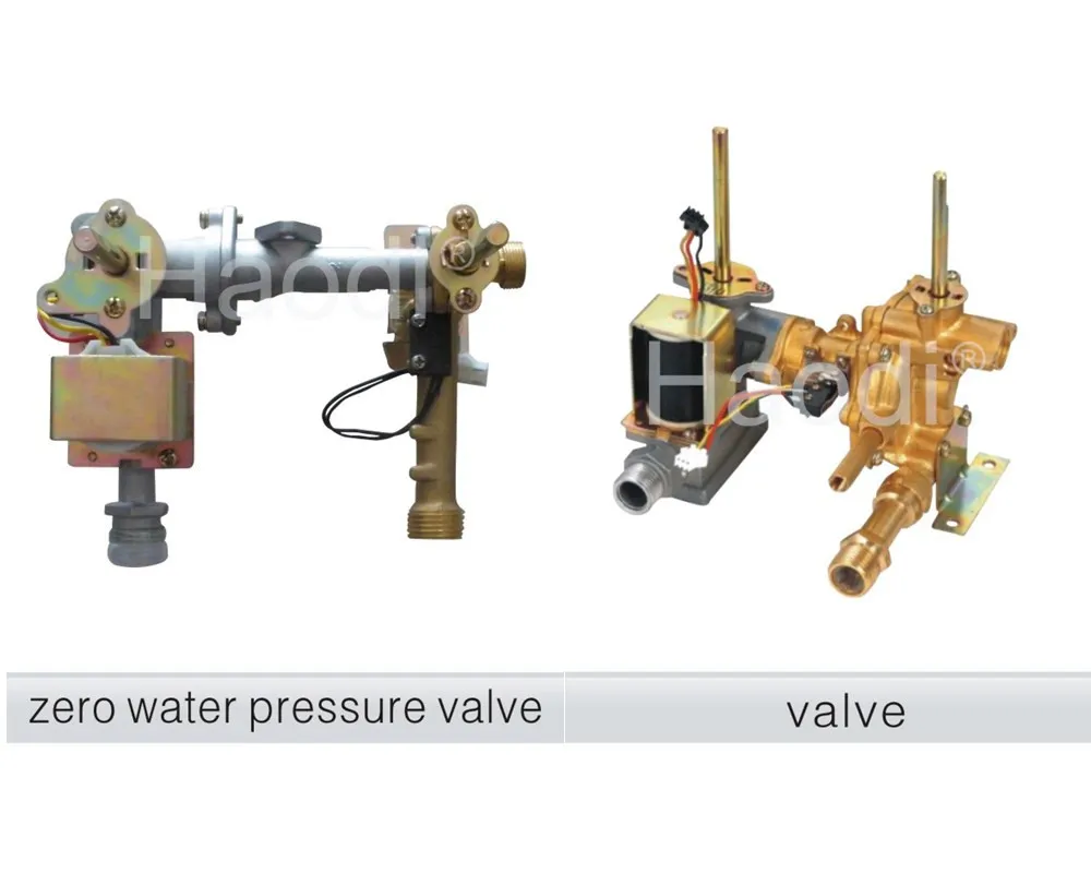 Natural Flue Type 5.5L, 8L, 10L, 12L LPG or Ng Instant Gas Water Heater