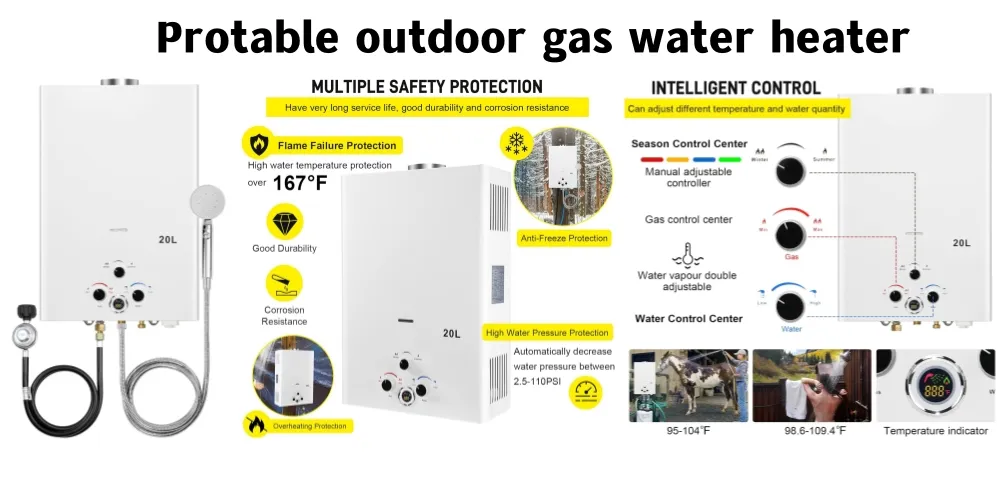 Natural Flue Type 5.5L, 8L, 10L, 12L LPG or Ng Instant Gas Water Heater