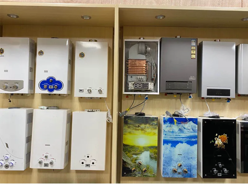 Temperature Maintaining Touch Screen Display Constant Temperature 12 Liter Gas Water Heater