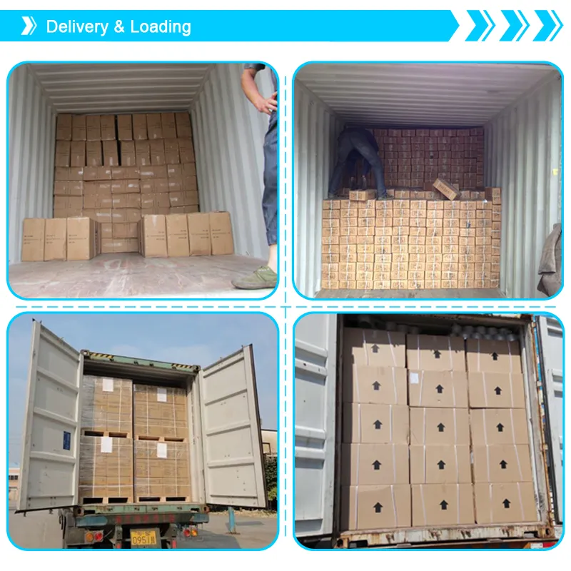 Temperature Maintaining Touch Screen Display Constant Temperature 12 Liter Gas Water Heater