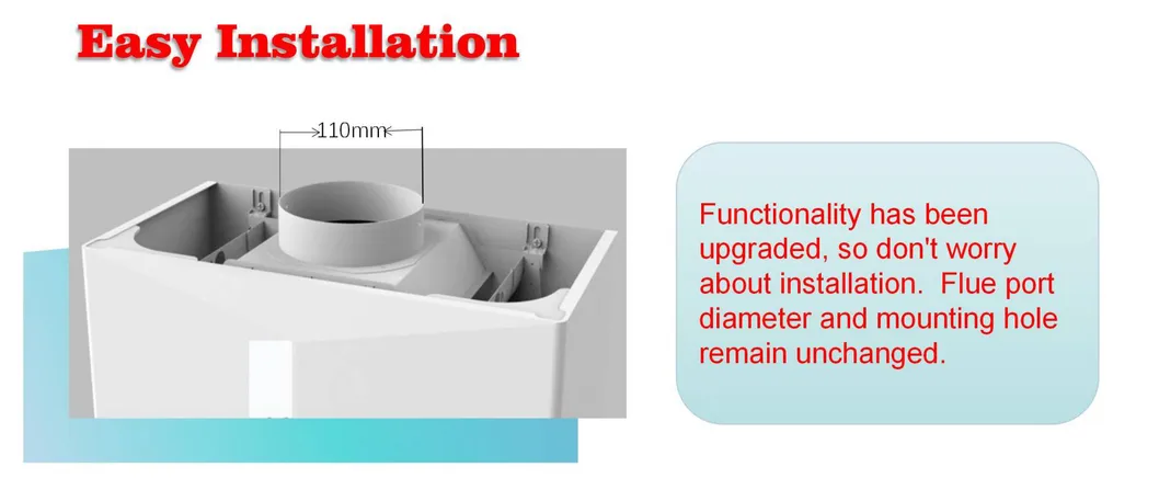 Constant Temperature Hot Sale Flue Type Wall Mounted Instant Water Heater