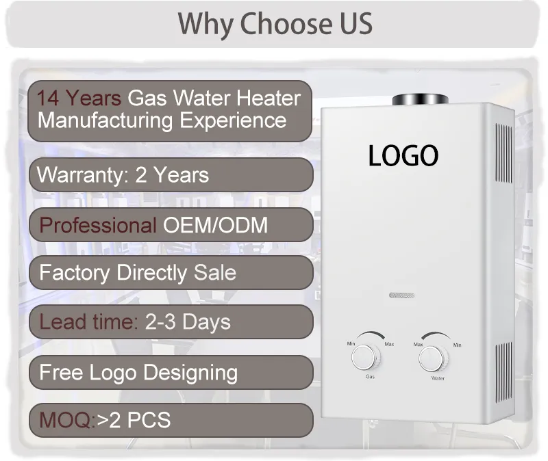 6L to 8L 10L 12L 14L 16L 20L 24L Natural Boiler Instant Gaz Propane Tankless LPG Geyser Gas Water Heaters