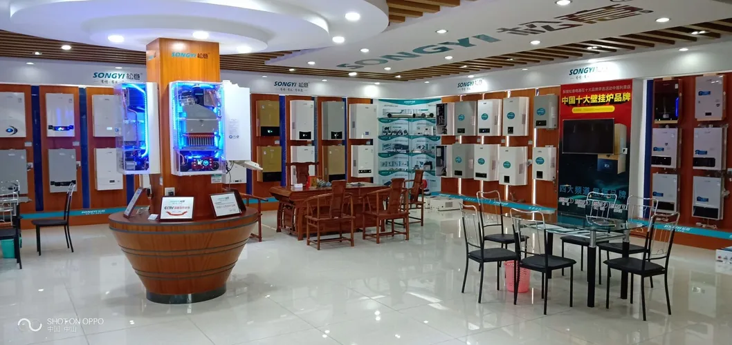 China-Made Wholesale Wall Hung Gas Water Heater Low Water Pressure Startup Feature Instantaneous on Demand