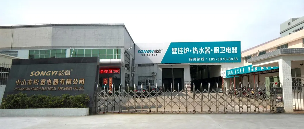 China-Made Wholesale Wall Hung Gas Water Heater Low Water Pressure Startup Feature Instantaneous on Demand