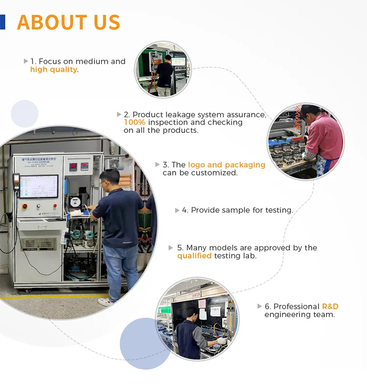 Portable Bathroom Outdoor Gas Hot Water Heater with Temperature Sensor Camping