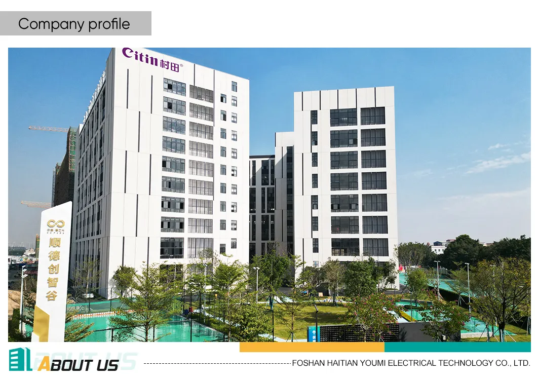 Compact Flue Type Gas Hot Water Heater for Space-Saving Designs