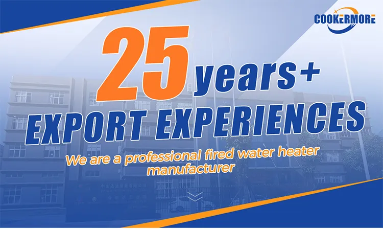 Energy-Efficient Natural Gas Tankless Water Heater with Safety Features