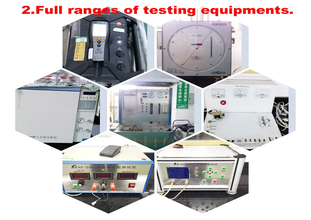 Advanced Electric Gas Water Heater with Constant Temperature Control