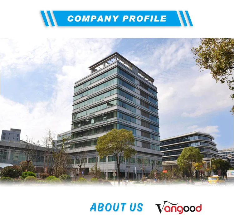 Custom Competitive Price Smart Gas Water Heater Instant Gas Geyser