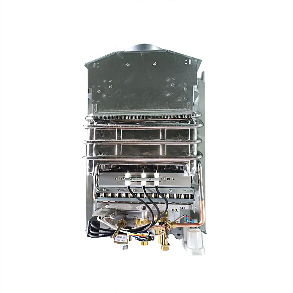 Custom Competitive Price Smart Gas Water Heater Instant Gas Geyser