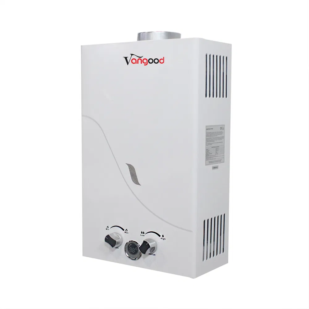 Custom Competitive Price Smart Gas Water Heater Instant Gas Geyser