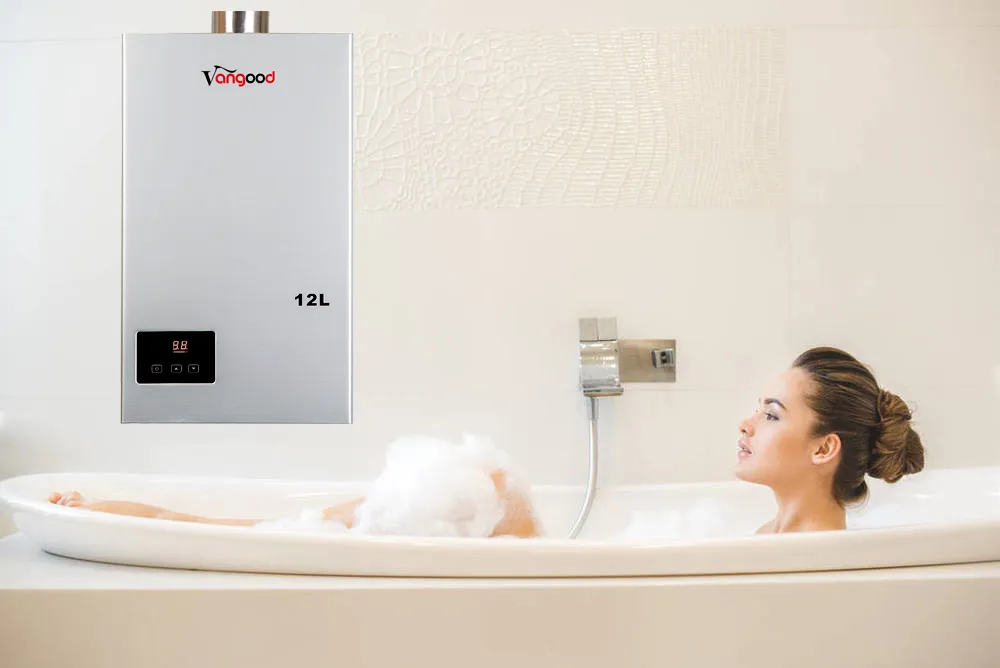 Golden Supplier 220V LPG Balance Type Temperature Controller Smart Gas Water Heater