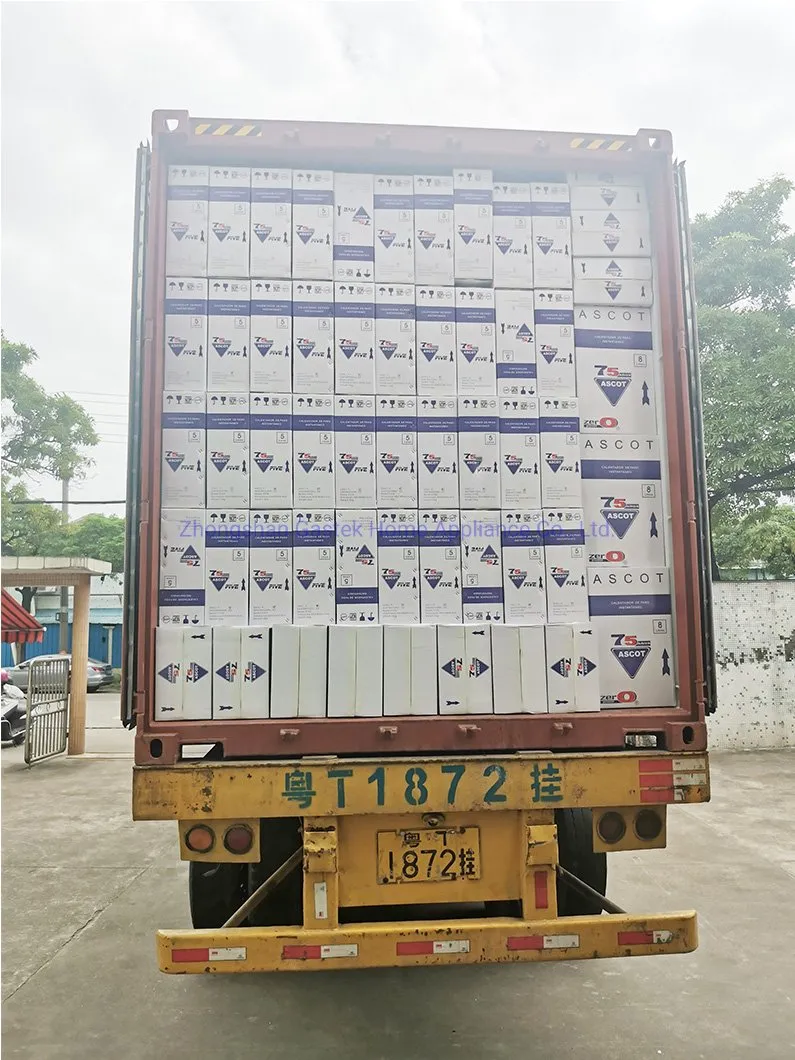 Compact and Affordable Instant Gas Water Heater for Households