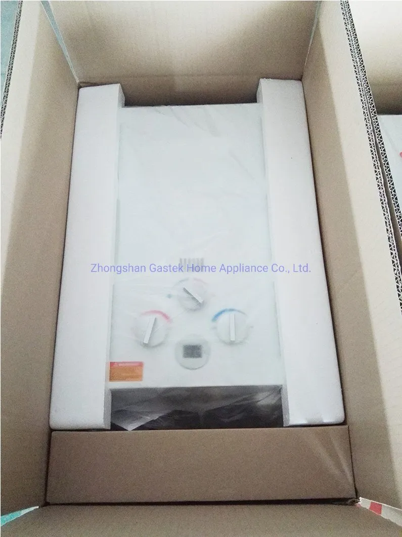 Compact and Affordable Instant Gas Water Heater for Households