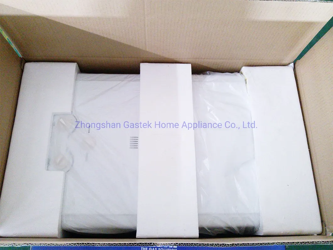 Compact and Affordable Instant Gas Water Heater for Households