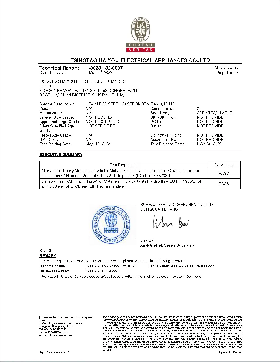 Professional Grade Commercial Salamander Electric Oven for Culinary Excellence