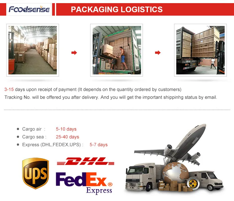 Commercial Professional Kitchen Used Fruit Juice Blender Machine for Sale