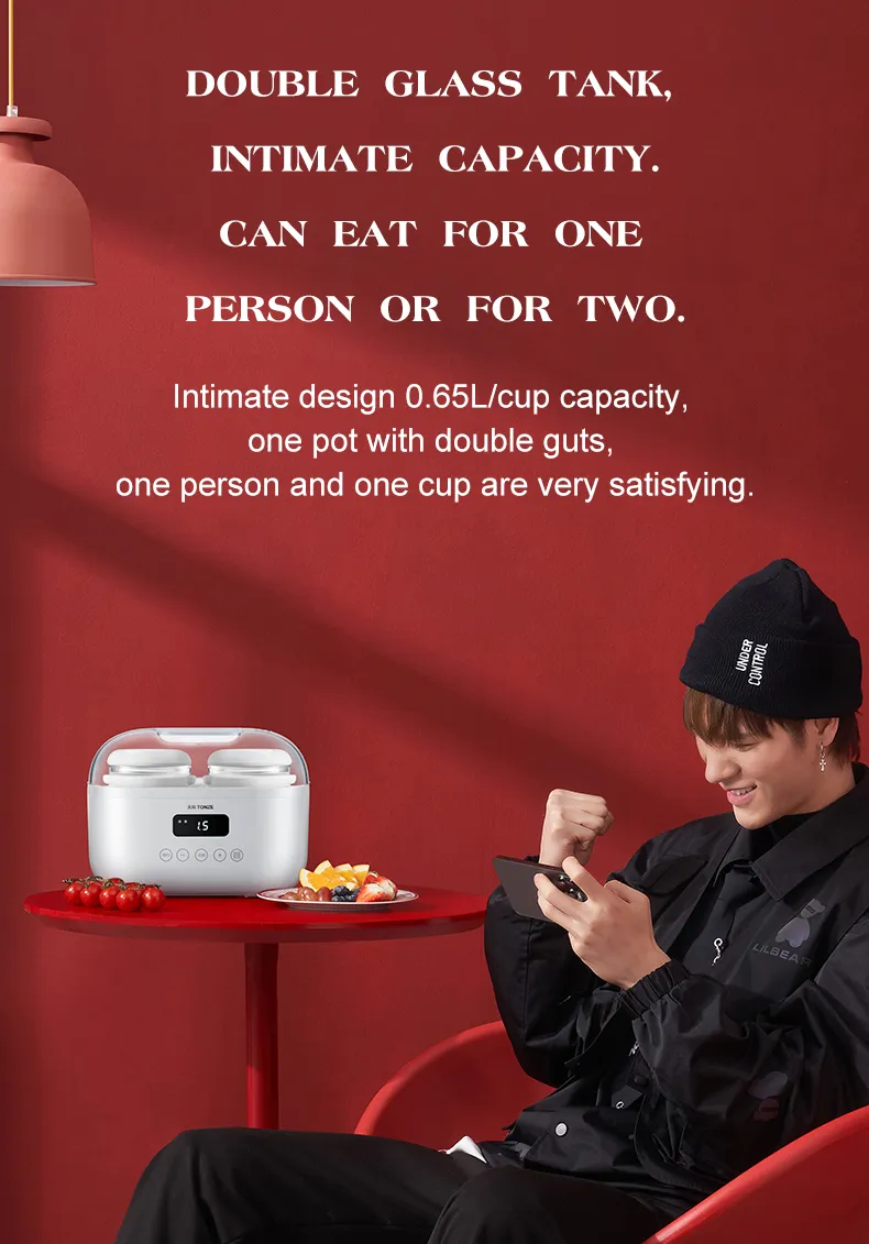 Factory Glass Manual Slow Cooker Multi Cooker Birds Nest Stew Pot