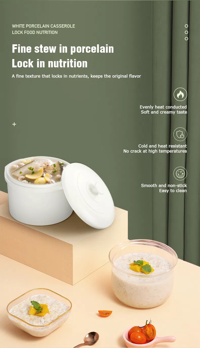 Double Boiler Slow Cooker with Egg Steamer Ceramic Liner Electric Crock Pot