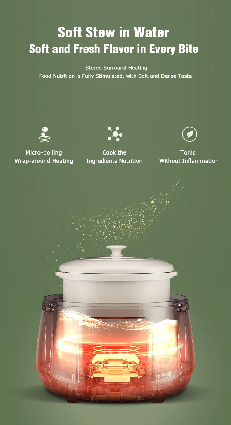 Double Boiler Slow Cooker with Egg Steamer Ceramic Liner Electric Crock Pot