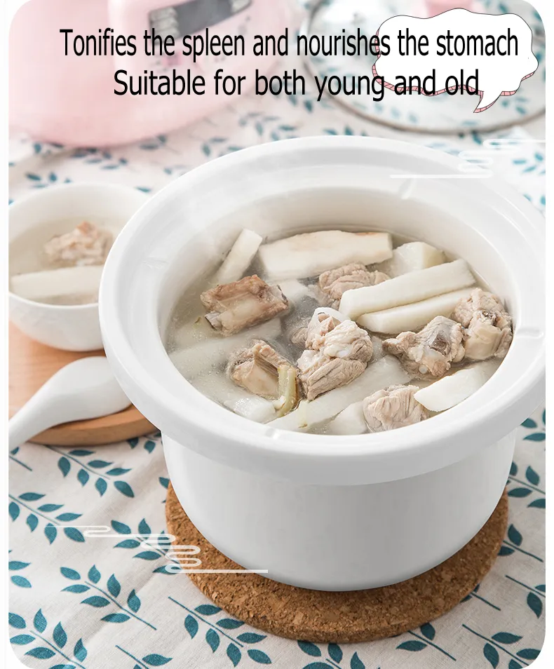 Slow Cooker with Ceramic Liner Automatic Health Soup Maker