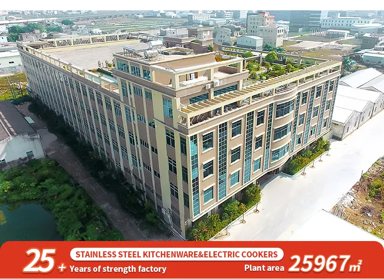 Kaiershi Jj-20b Best Multi Function Electric Cooker Pot