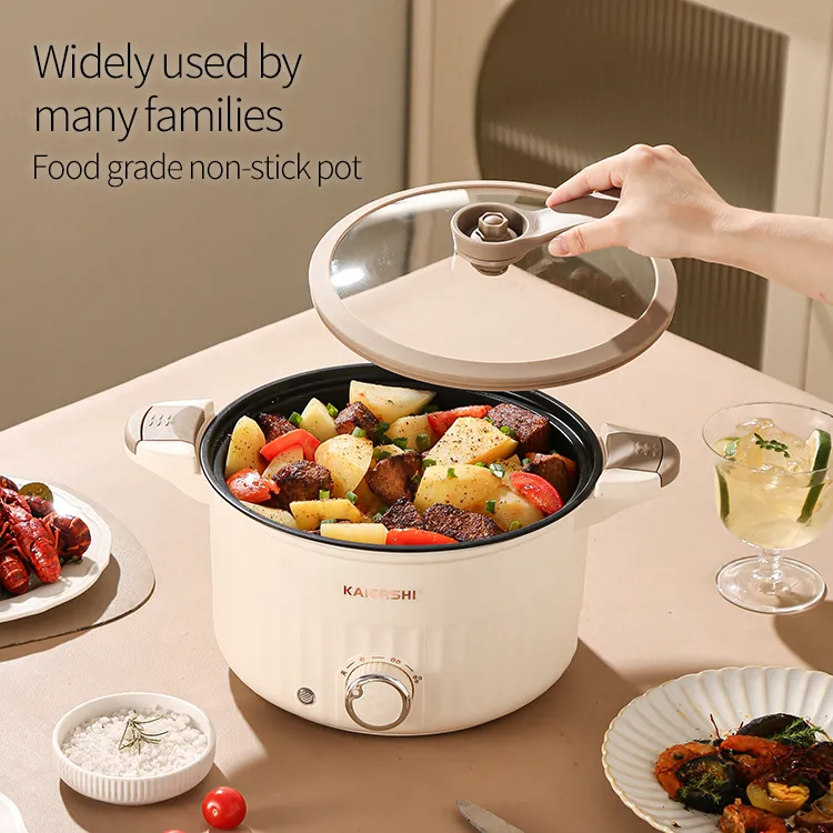 Multi-Function Electric Micro-Pressure Cooker