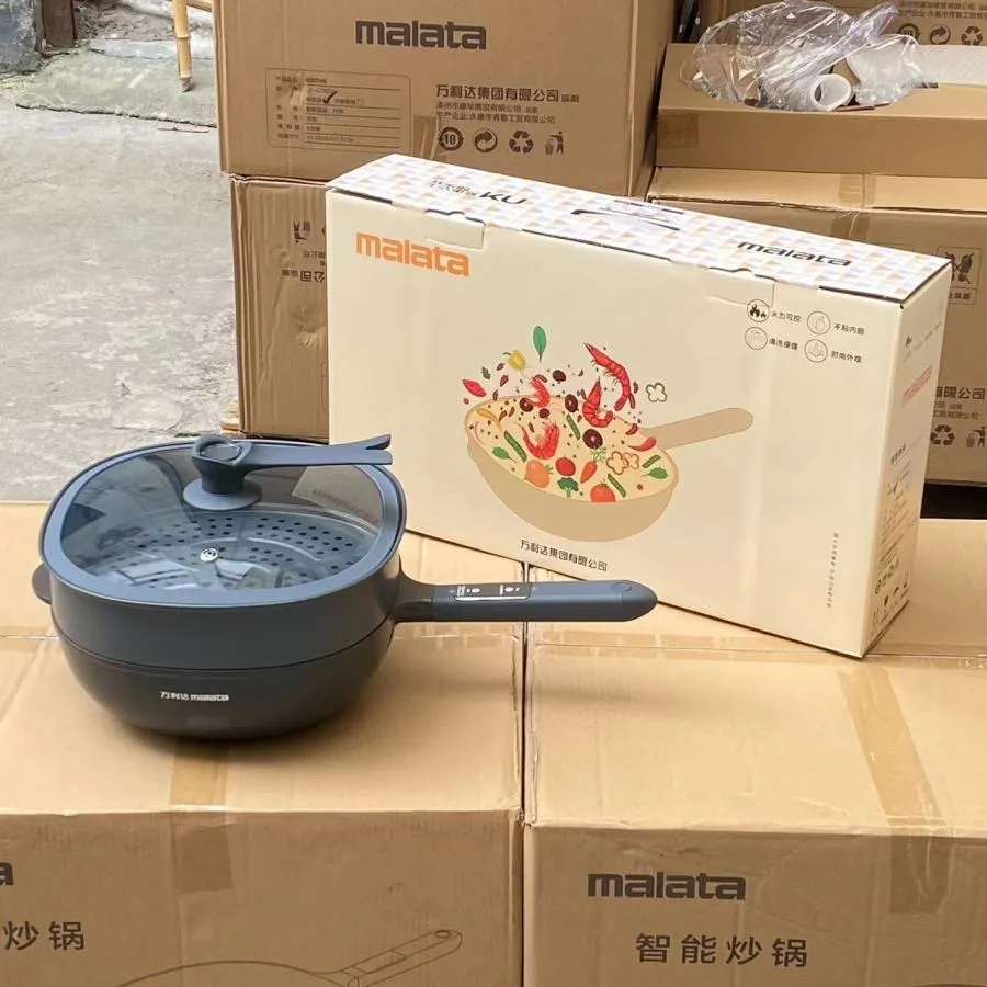 Multi Cooker Electric Smart Slow Cooker Non Stick Mini Electric with Double Layer