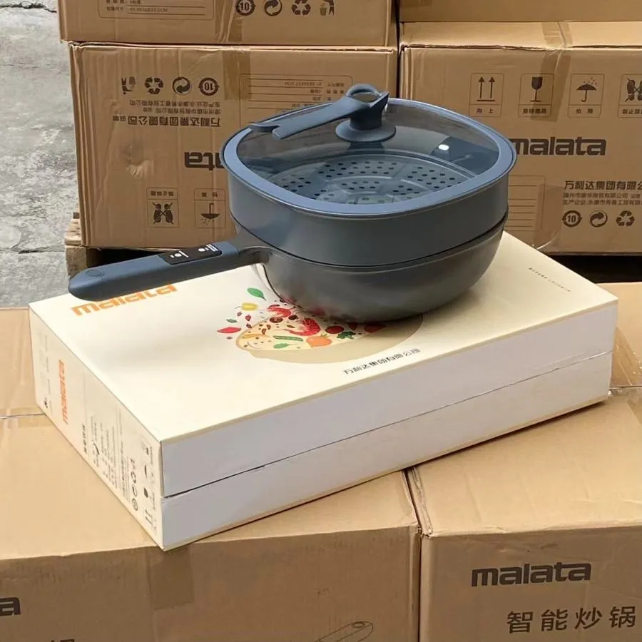 Multi Cooker Electric Smart Slow Cooker Non Stick Mini Electric with Double Layer