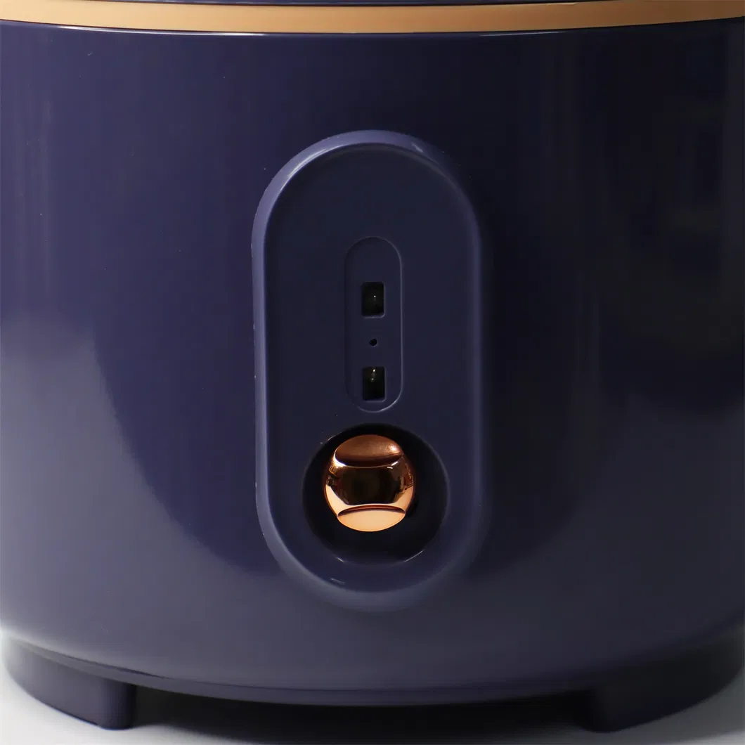 Factory - Produced Keep - Warm Portable Electric Rice Cooker with Fast Heating and Cute Smart Design