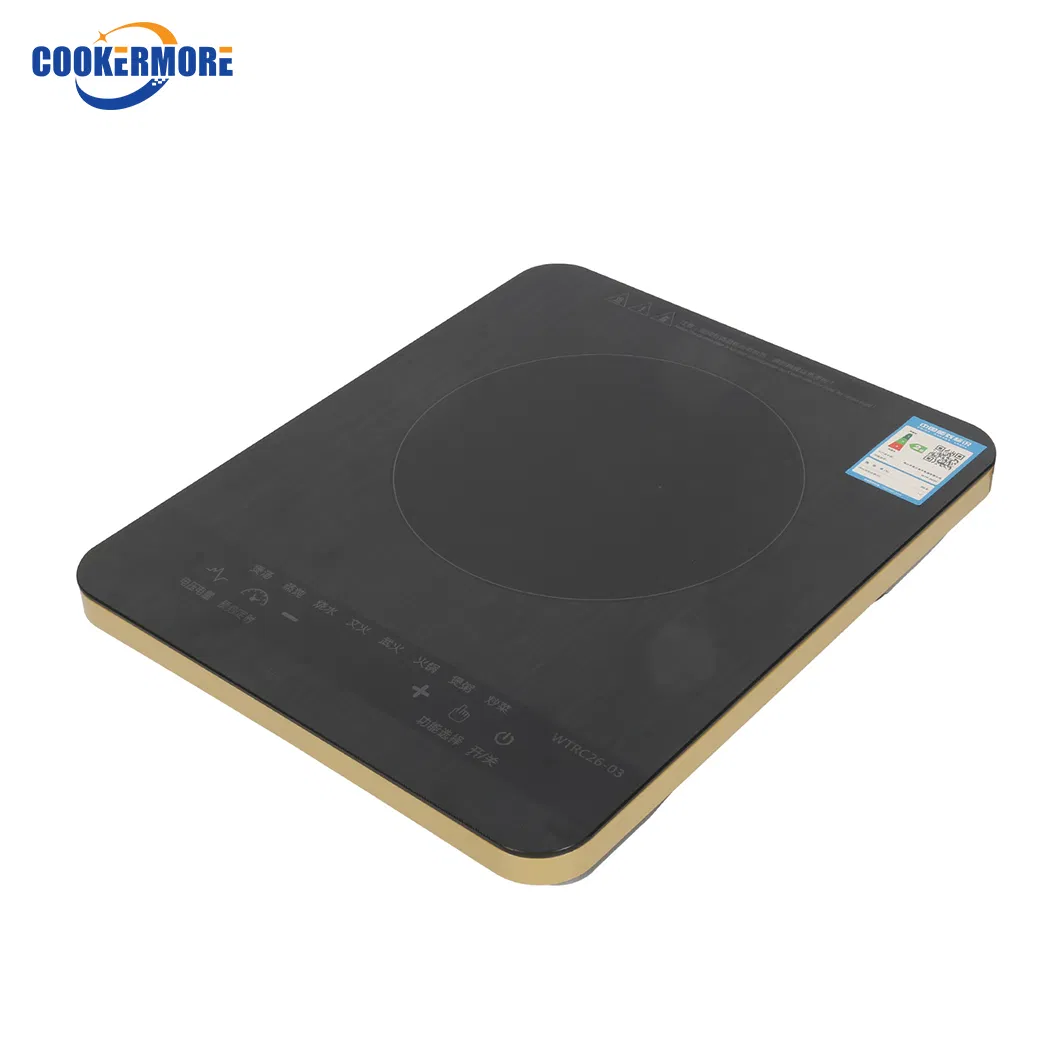 Premium Portable Electric Induction Cooker for Fast Cooking