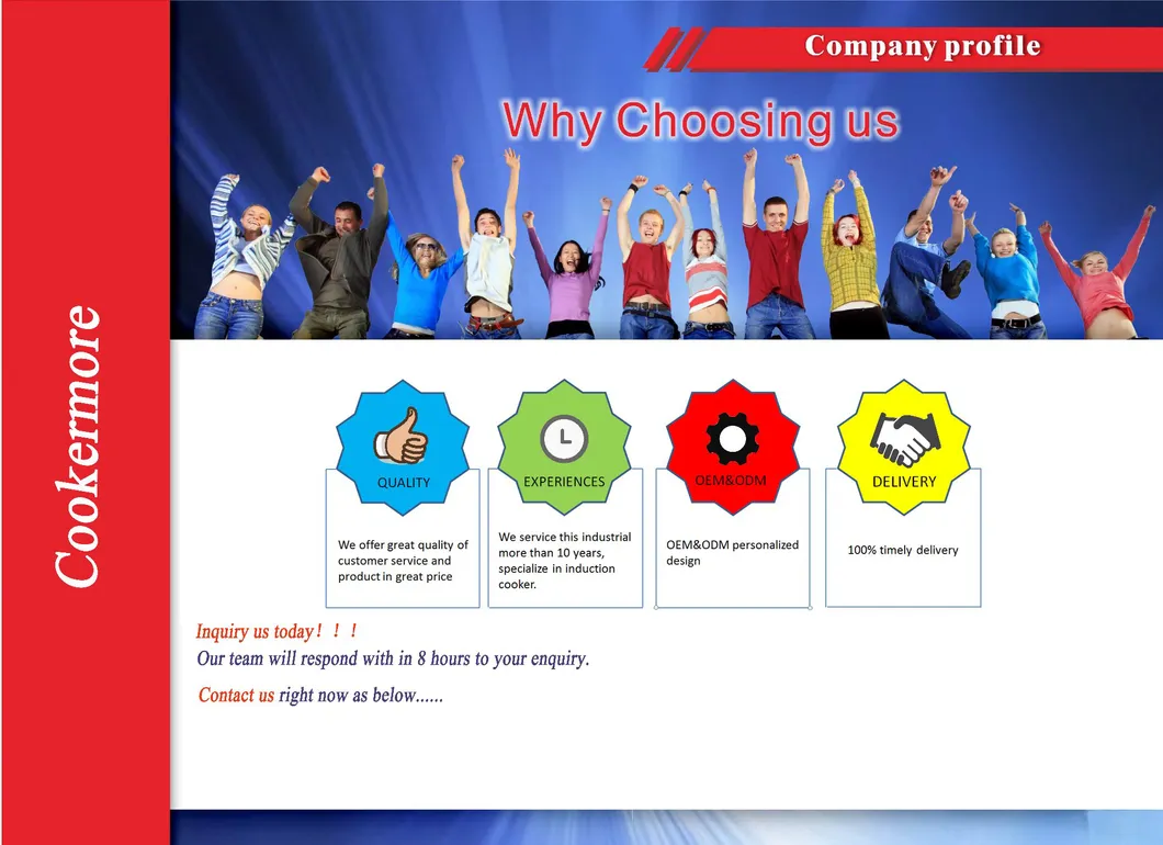 Factory Price Press Control Induction Appliance Electric Stove