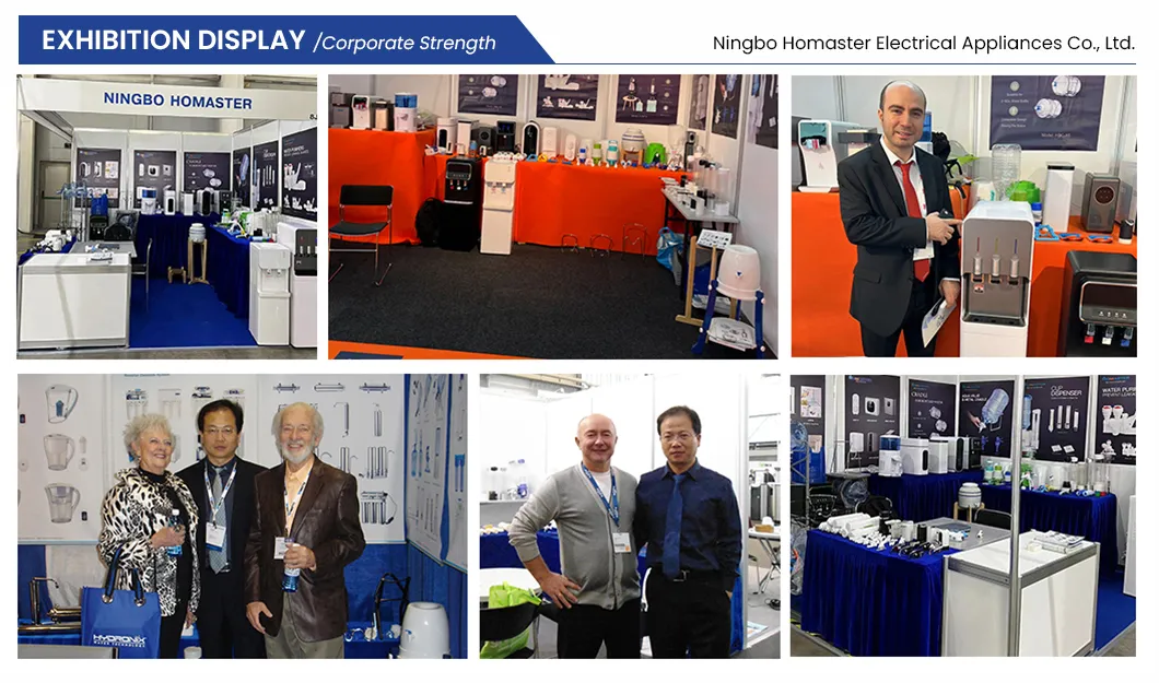 Portable Mini Direct Drinking Instant Heating Water Dispenser Home Use Purifier RO Filtration with 3L Water Tank